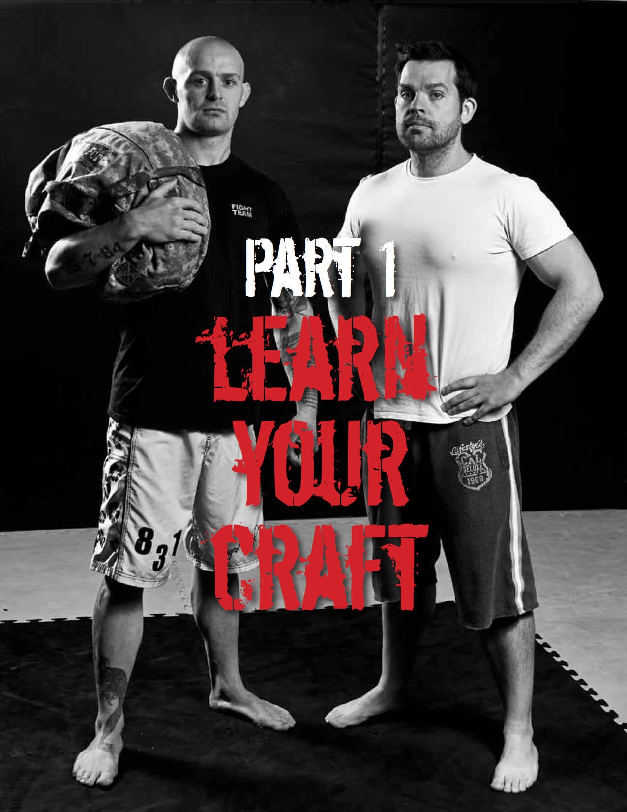 Mma sandbag workout sales