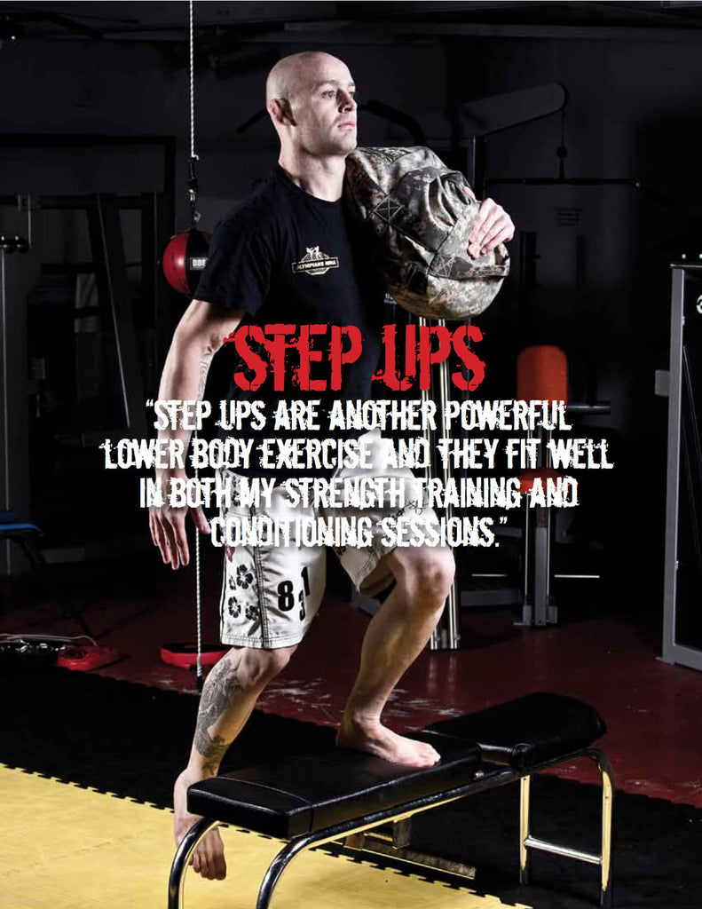 Mma sandbag 2025
