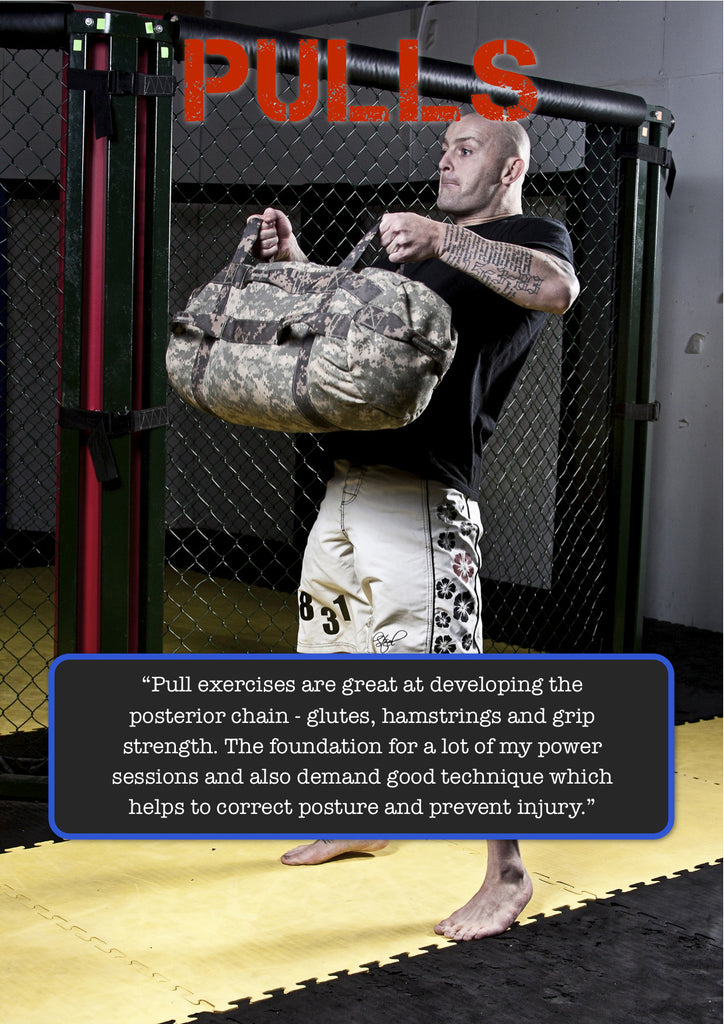 Sandbag Training For MMA & Combat Sports - ebook - Sandbag Fitness
 - 5